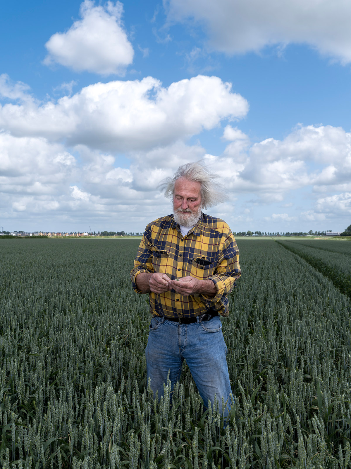 2040, Landbouw in transitie