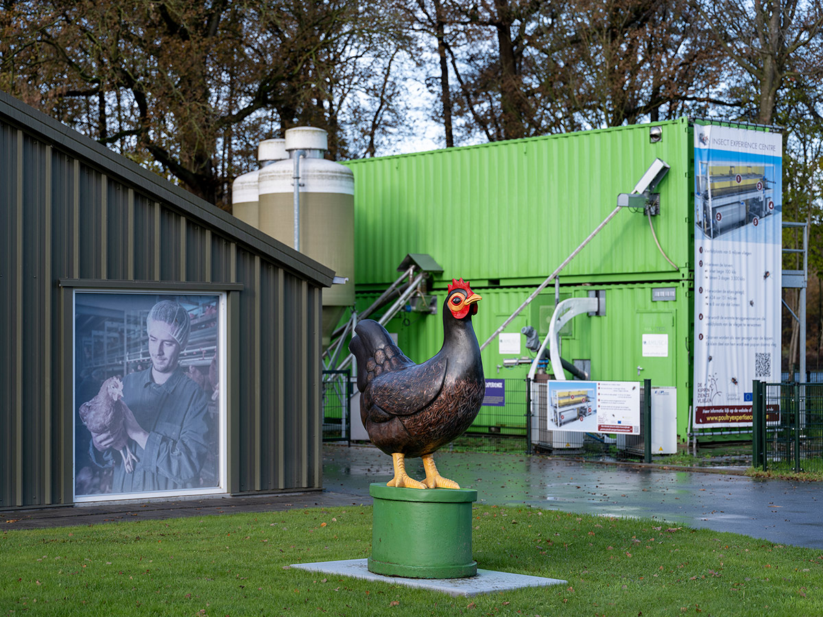 David Galjaard, Amusca, 2040, Landbouw in transitie