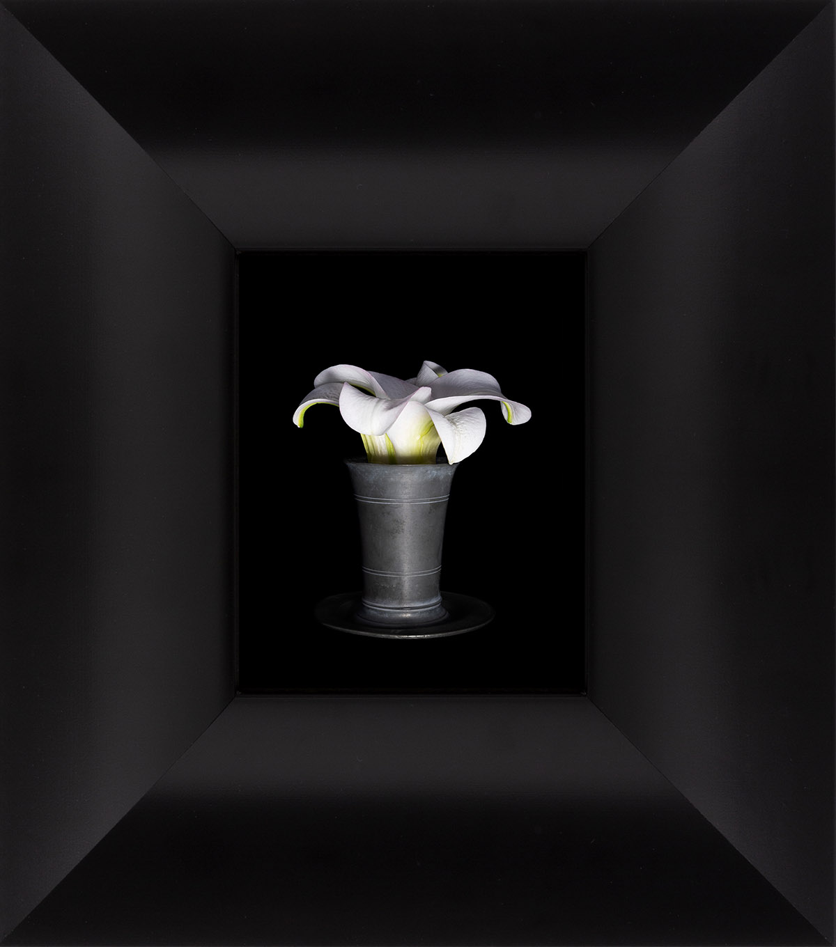 Cara Louwman, Collecting Memories