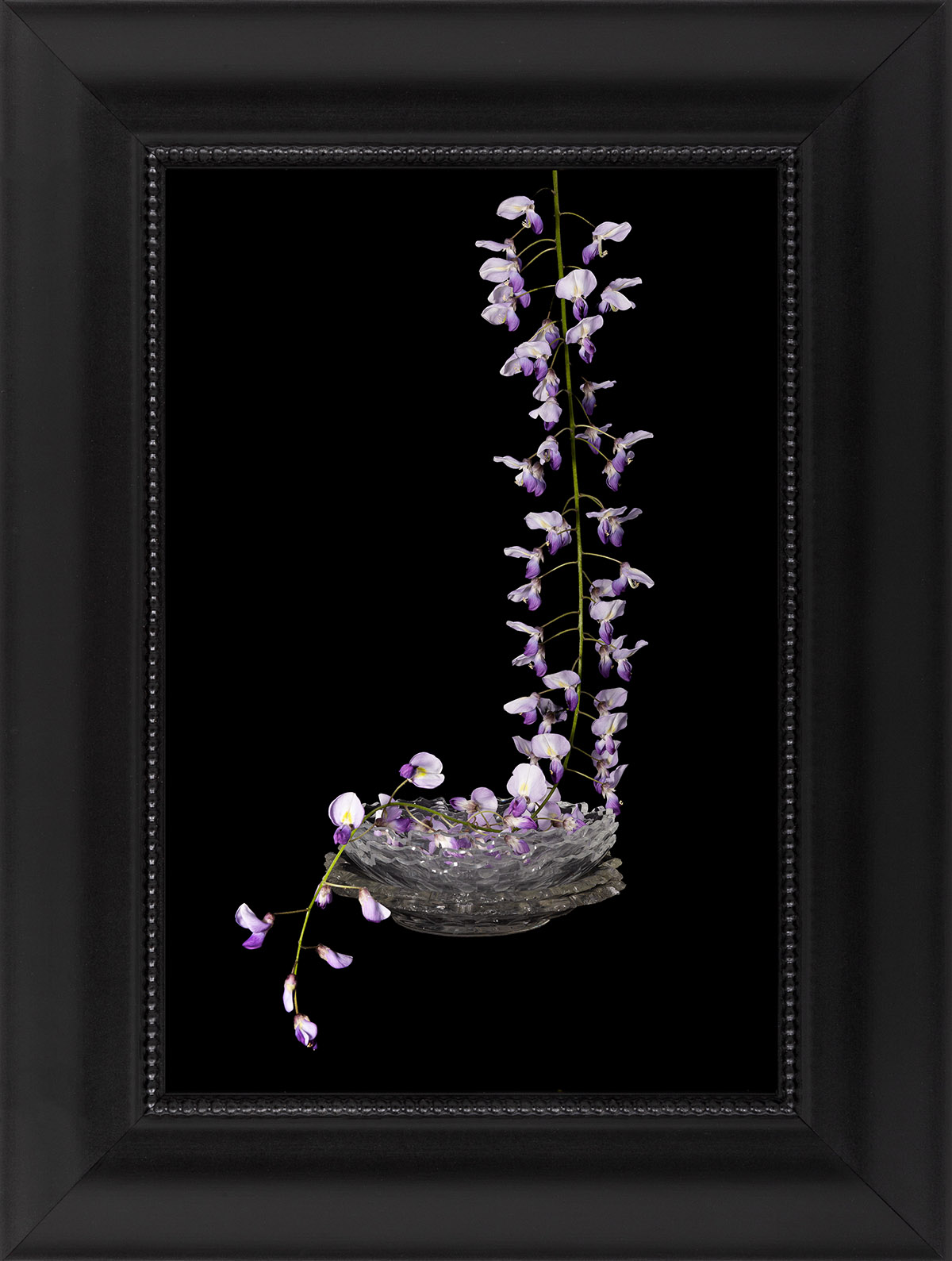 Cara Louwman, Collecting Memories