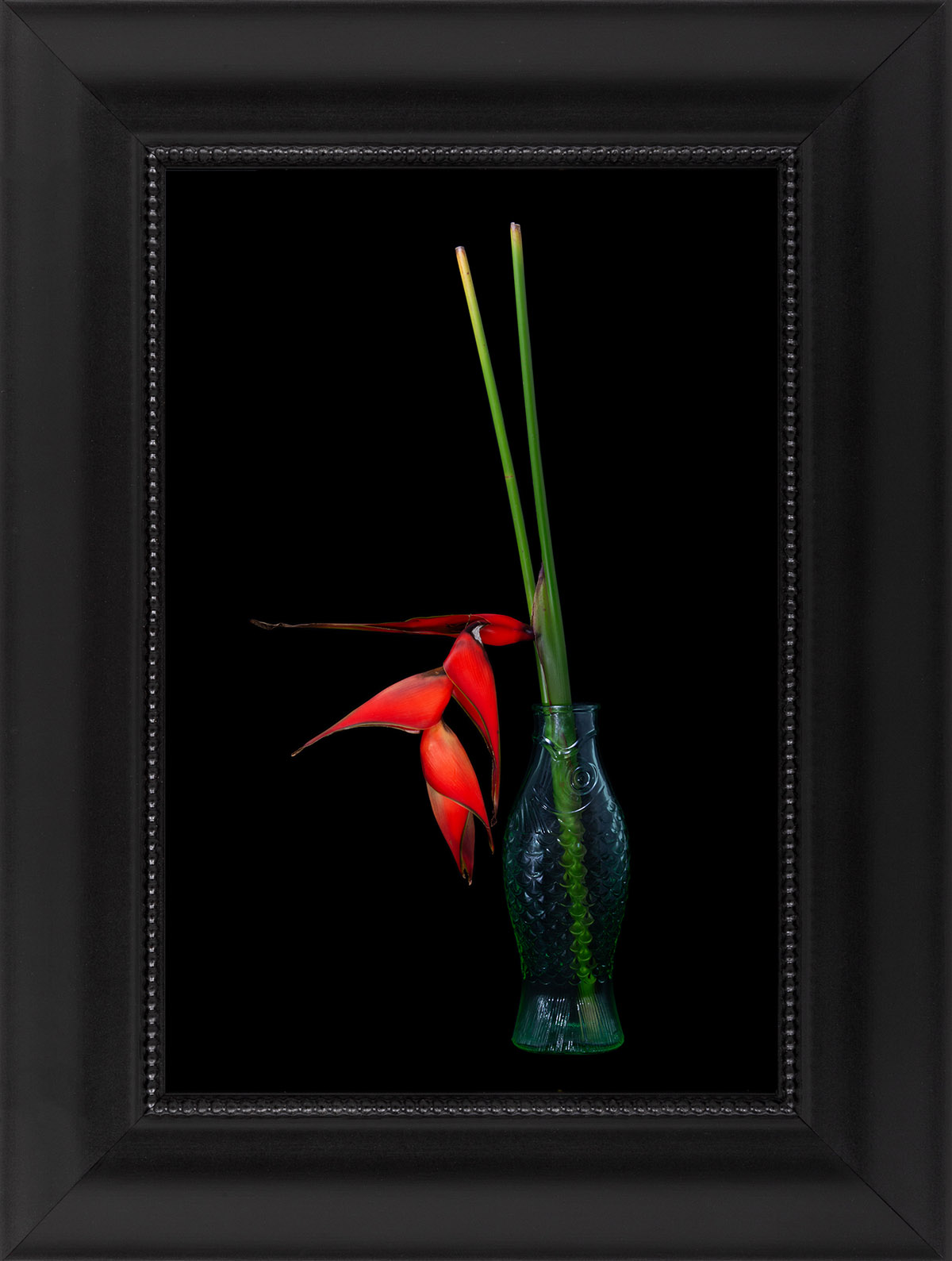 Cara Louwman, Collecting Memories