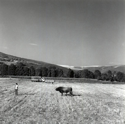 Guus Rijven, Absence of where you are