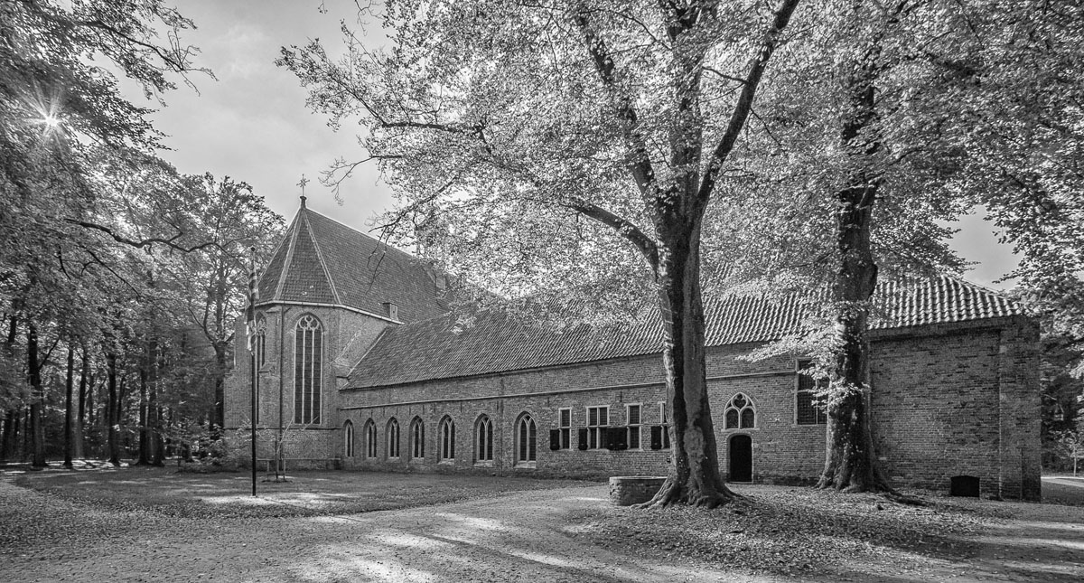 Andr&eacute; D&uuml;mmer, Een licht van stilte: het Klooster in vier seizoenen