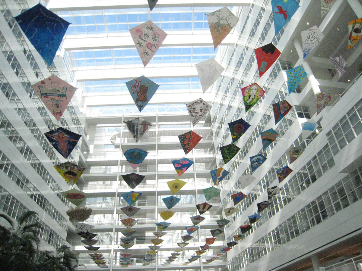 Kites for Kids in 2009, Foto Pulchri