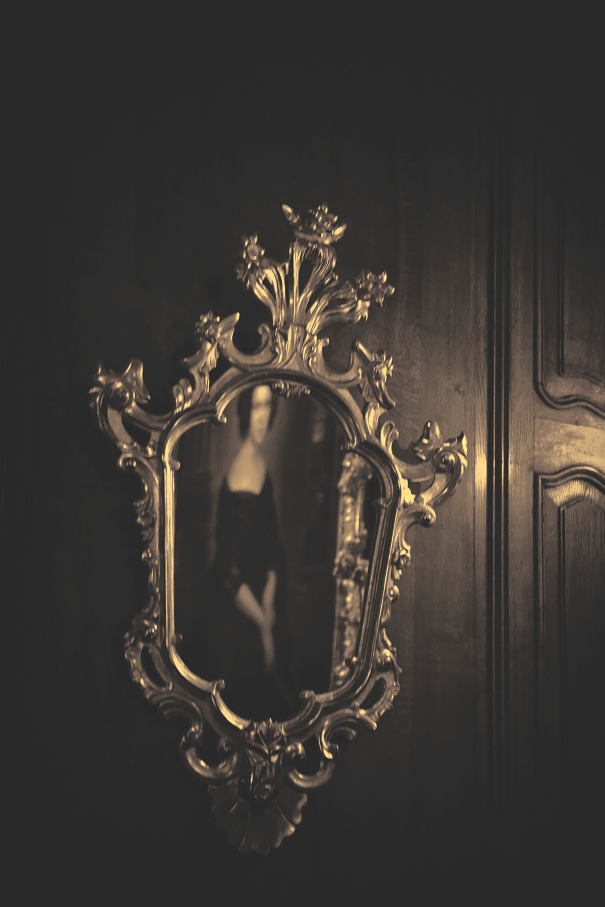 Olga Rook, Behind the looking glass