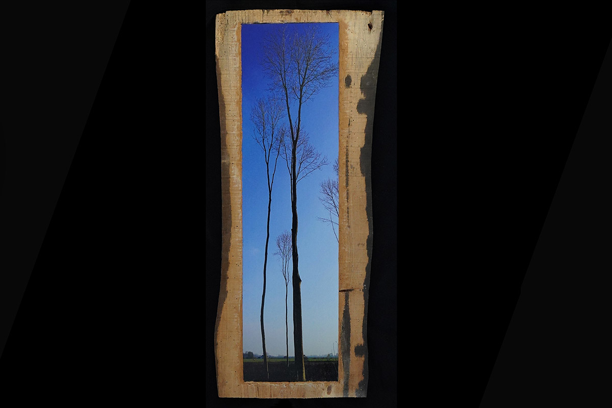 Rob Chevallier, Essen in bast, Brummen, foto op deel van een boombast, 2018