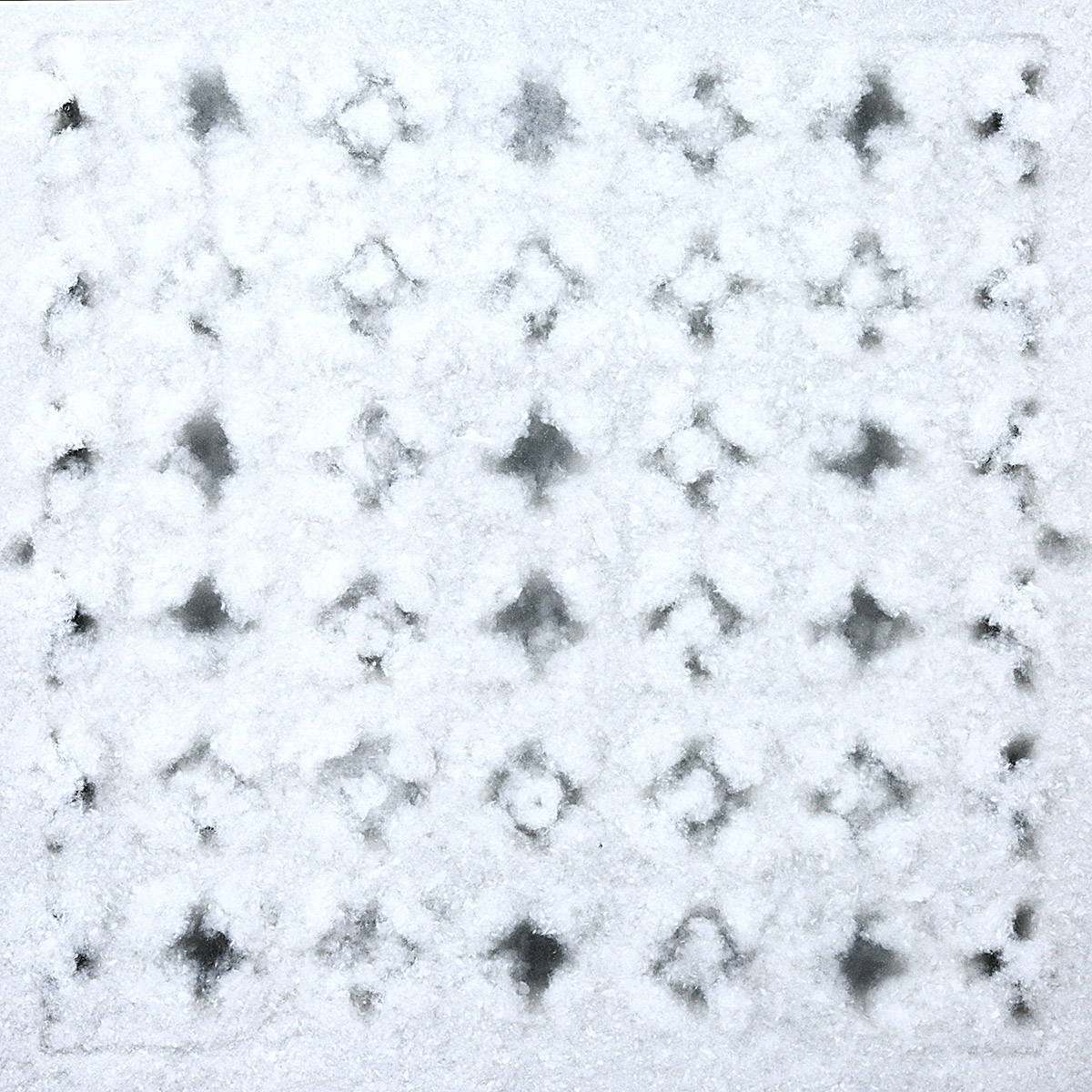 Han Reeder, b 8667