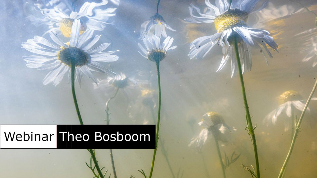 Gratis Webinar met Theo Bosboom