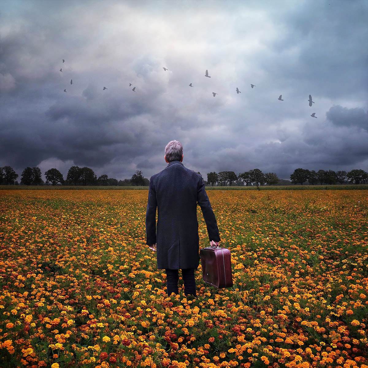 Gerard van Dijk, De Reiziger