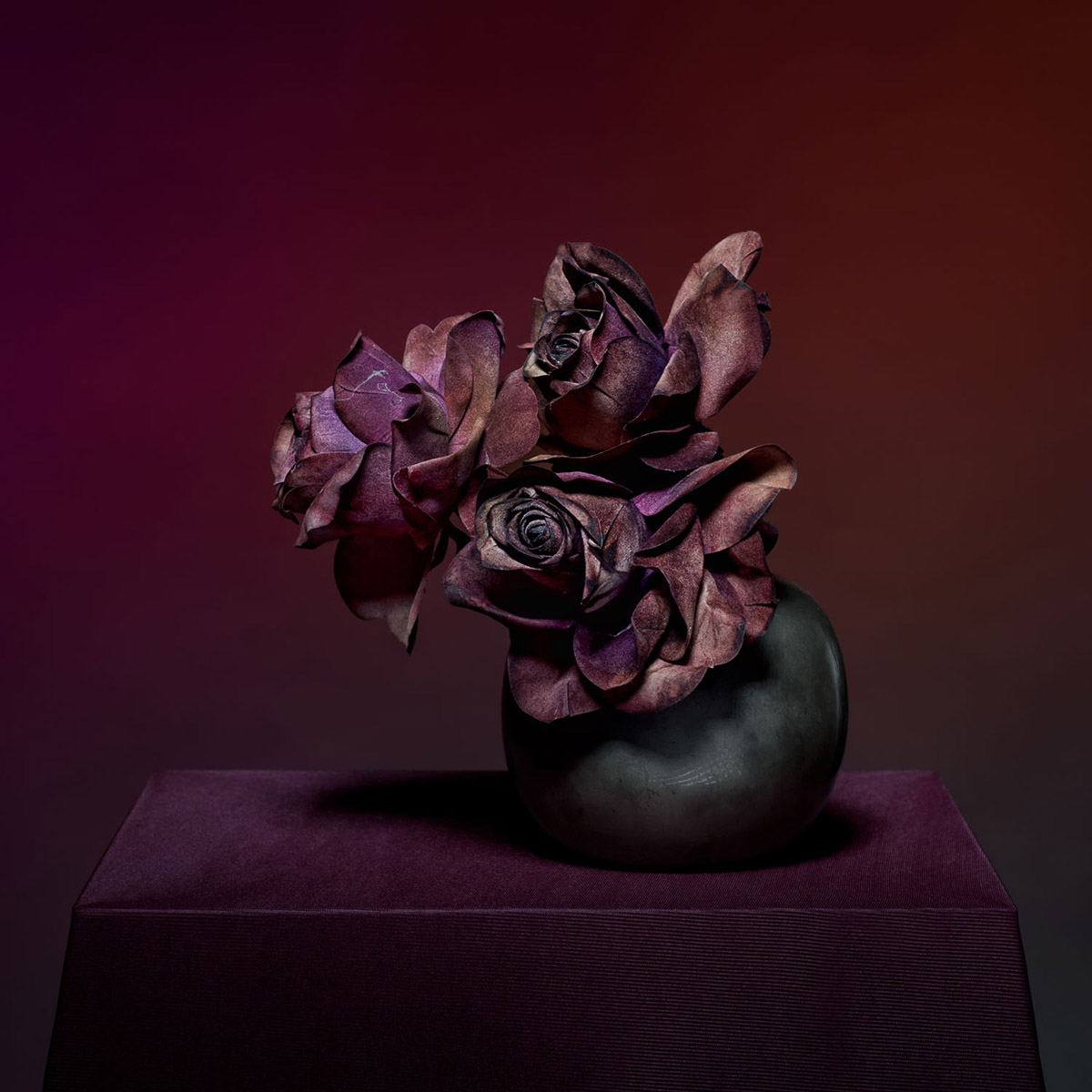 In Search of the Untold