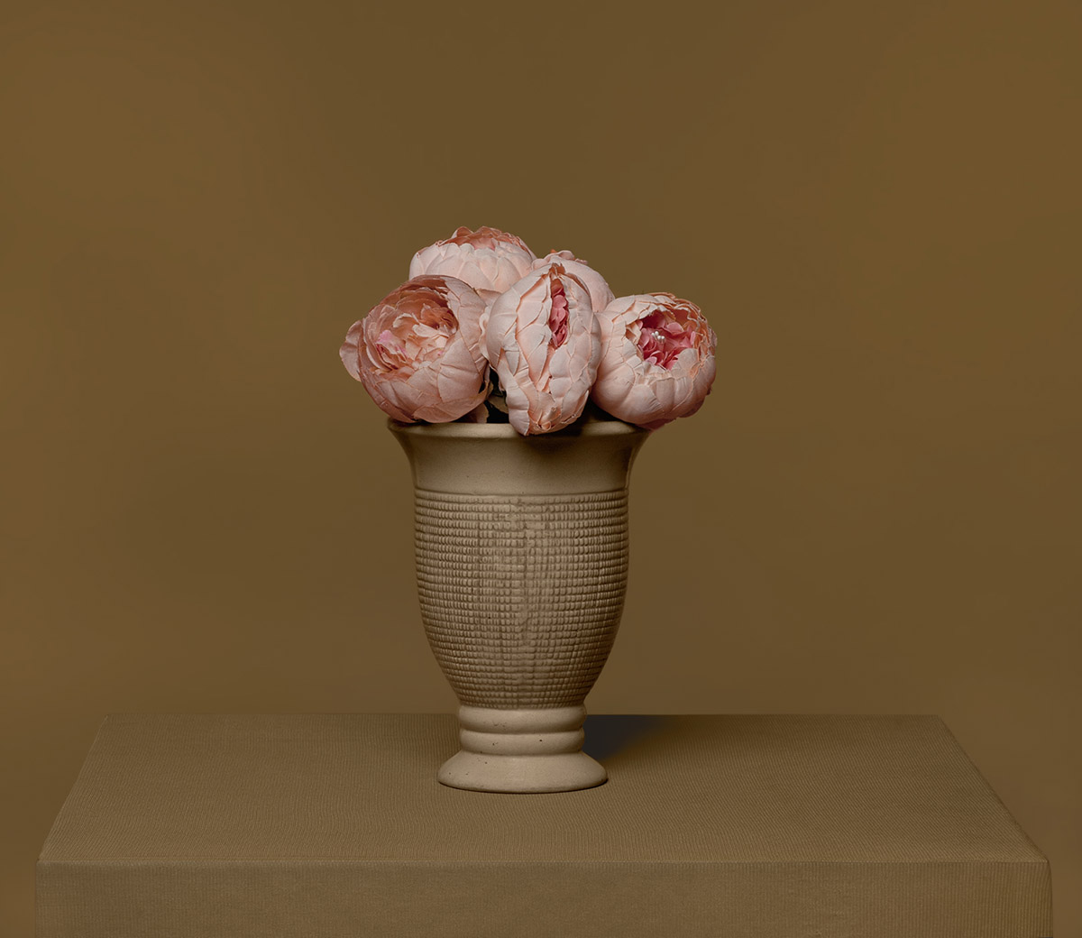 Jacqueline Louter, Fiori di Morandi I