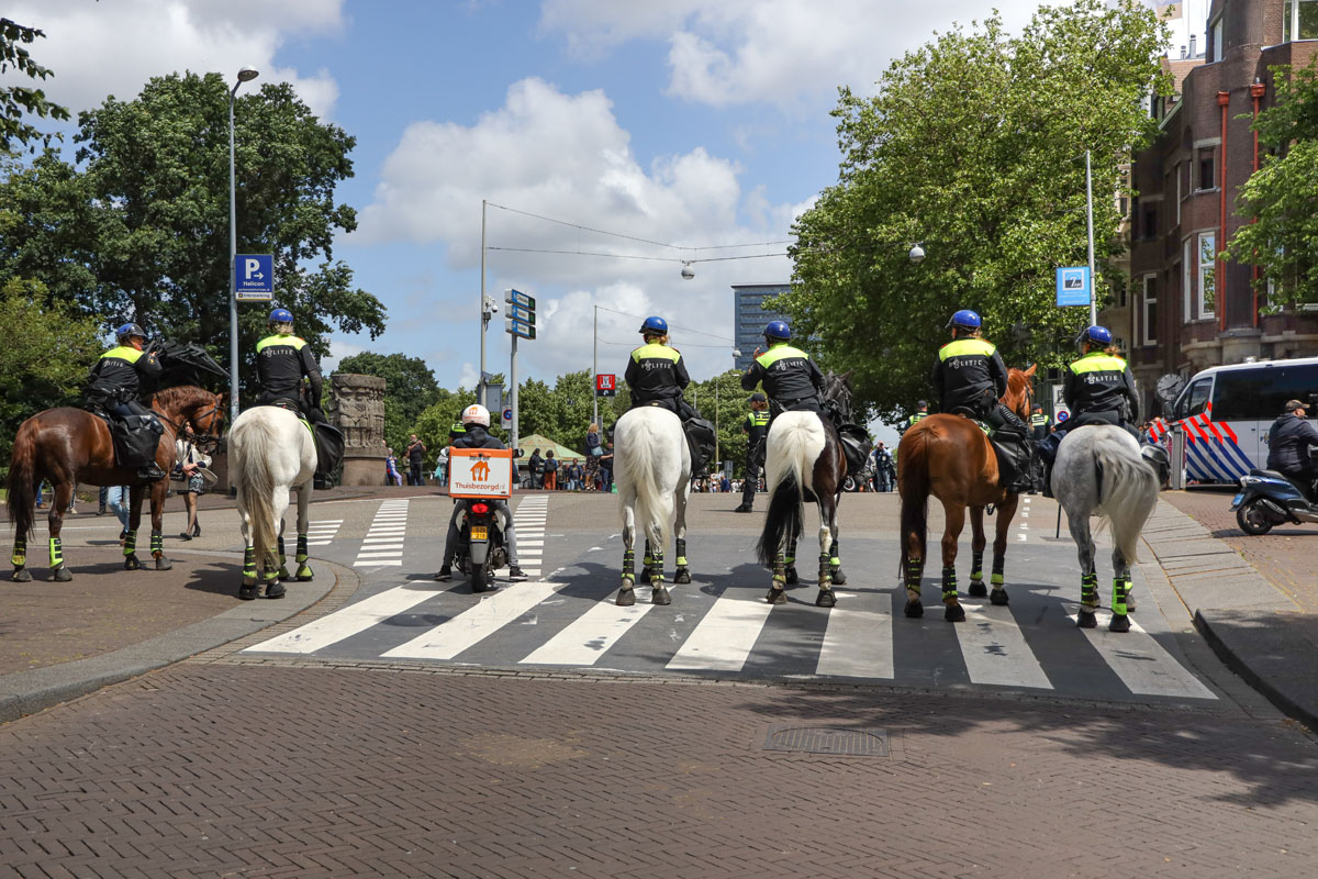 Sandra Uittenbogaart, Roaring Twenties