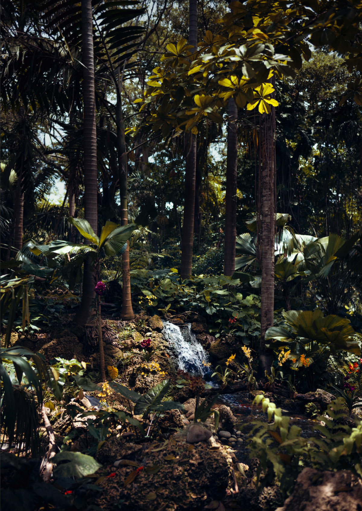 Vincent Lagrange, Butterfly Stories, Miami 2017, Courtesy Vincent Lagrange and SmithDavidson Gallery