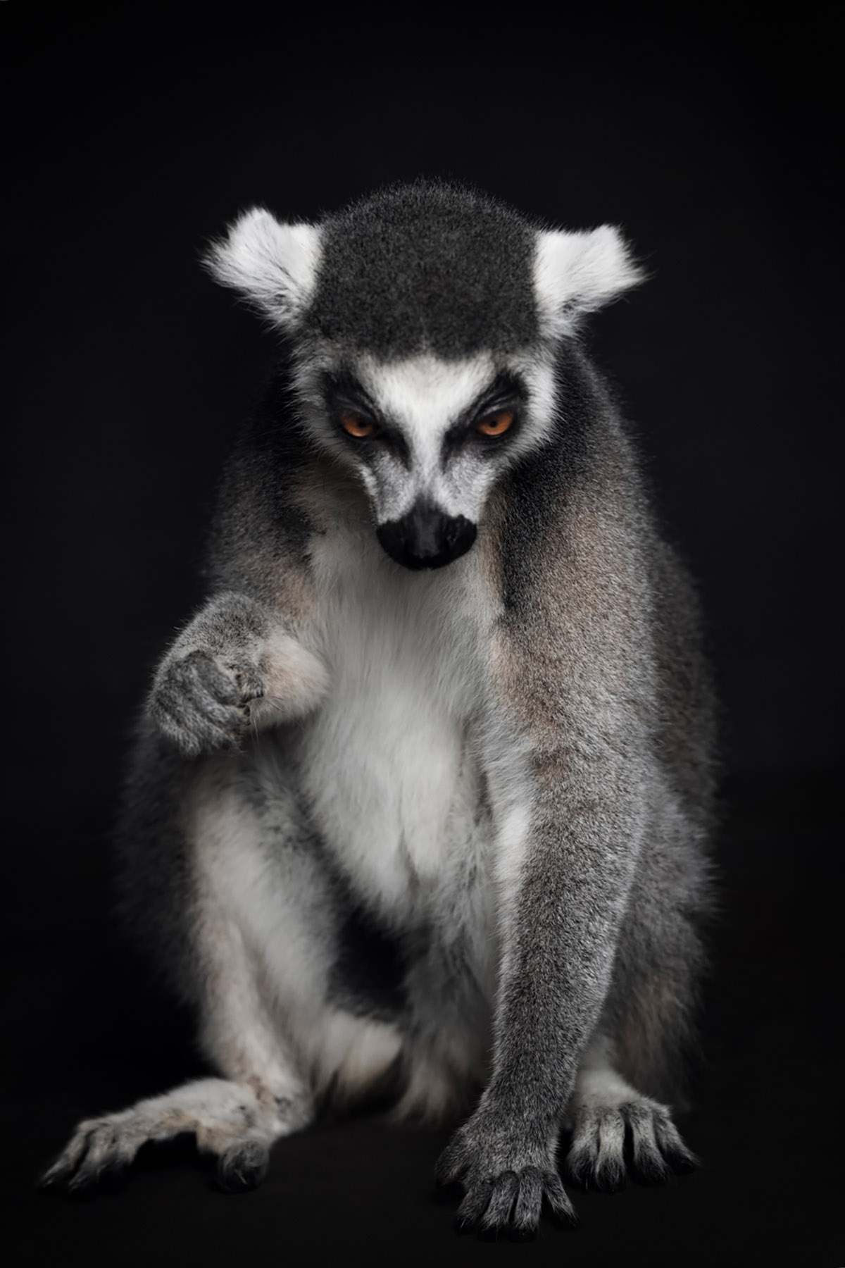 Vincent Lagrange, Touchdown, Courtesy Vincent Lagrange and SmithDavidson Gallery