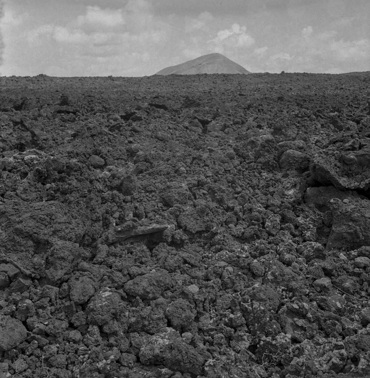 Caroline Bijl, Het mysterie der dingen