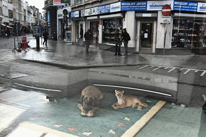 Straat / Spiegelingen