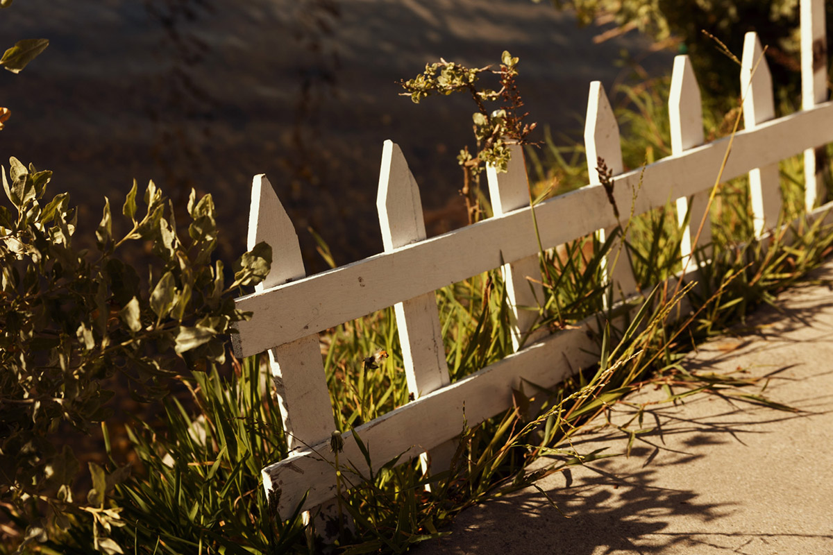 Christine Mooijer, Lynch