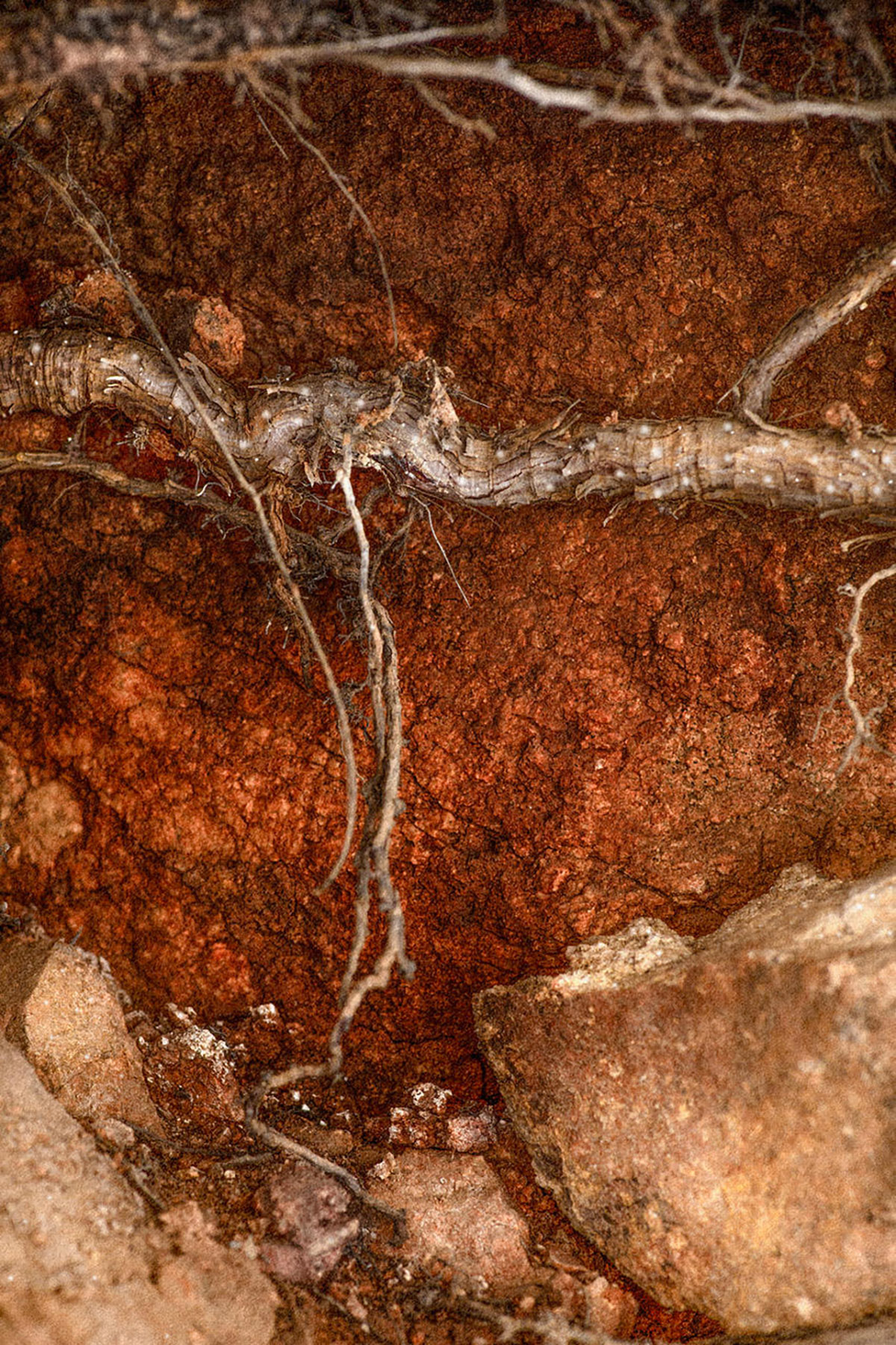 Mari&euml;tte Aernoudts