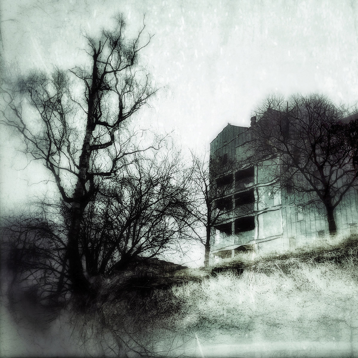 Fotogroep CreatiVision