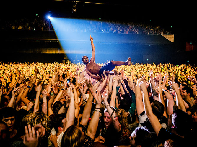 Ferdy Damman, Typhoon