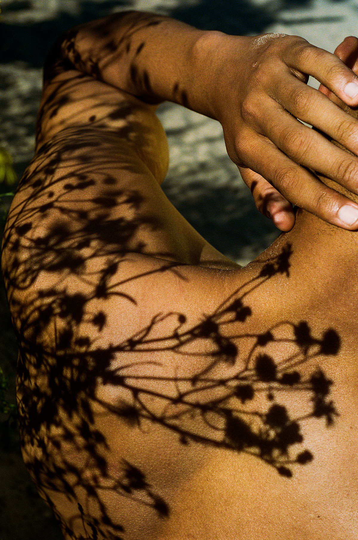 David van Dartel, Romeo, 2022