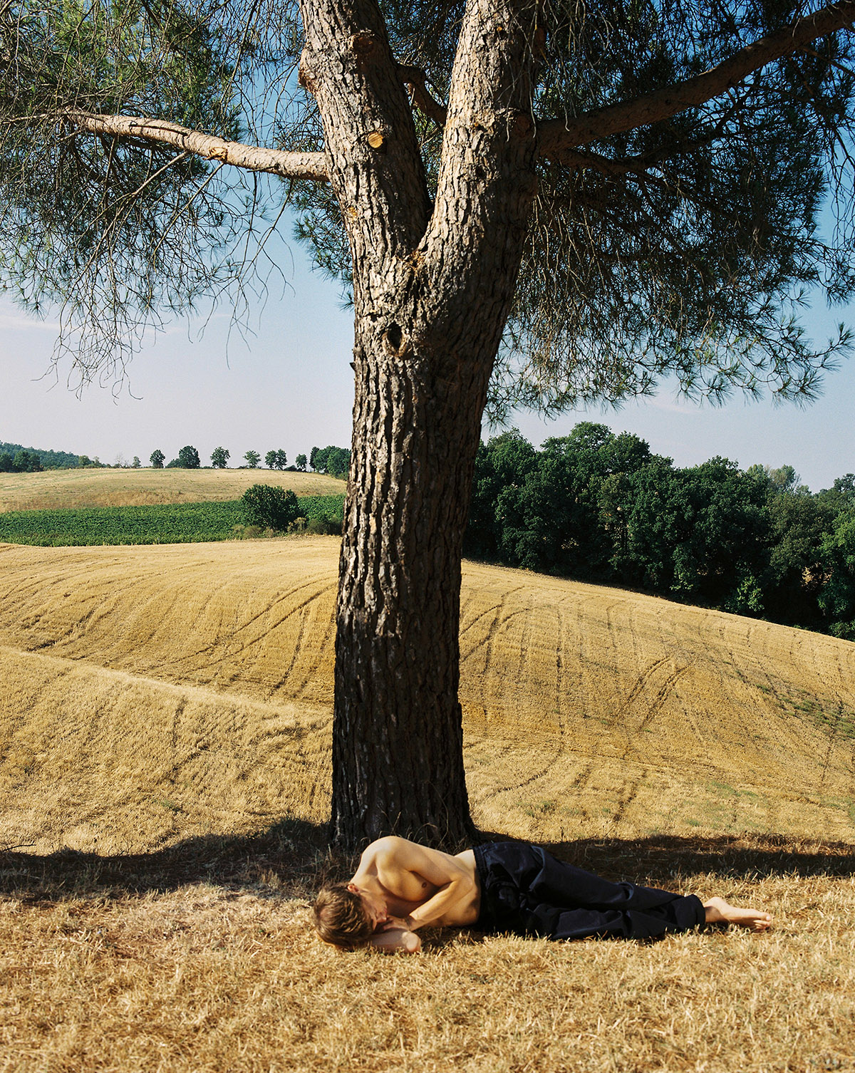 David van Dartel, Sil in Siena, 2022