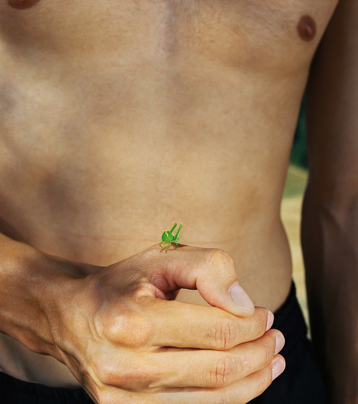David van Dartel, Sil met een krekel, 2022