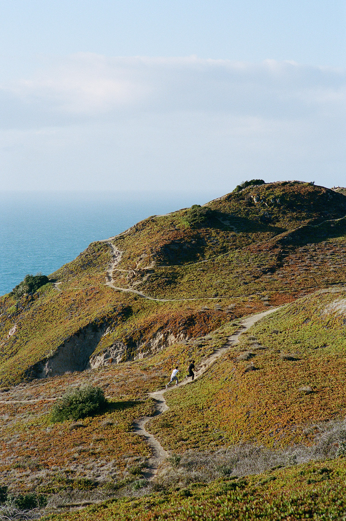 David van Dartel, Tian en Tomas II, 2022