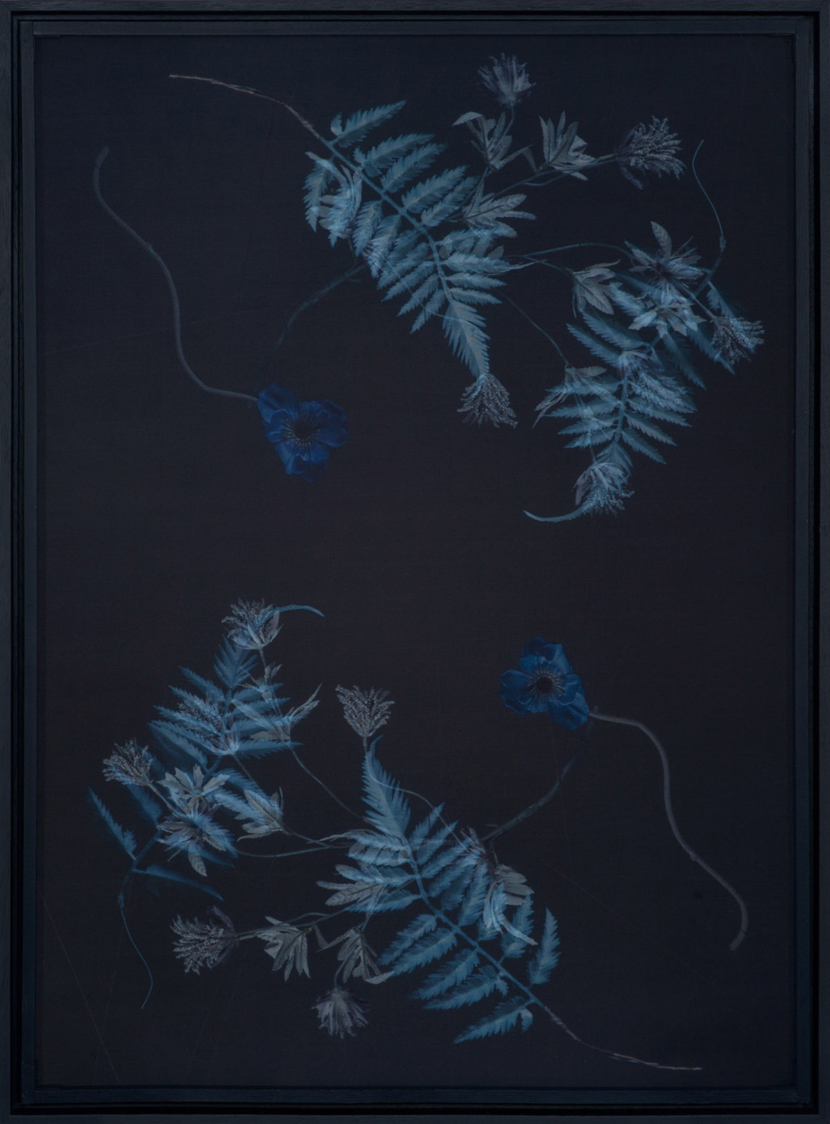 Jacqueline Louter, Blue R&ecirc;ve diptych I