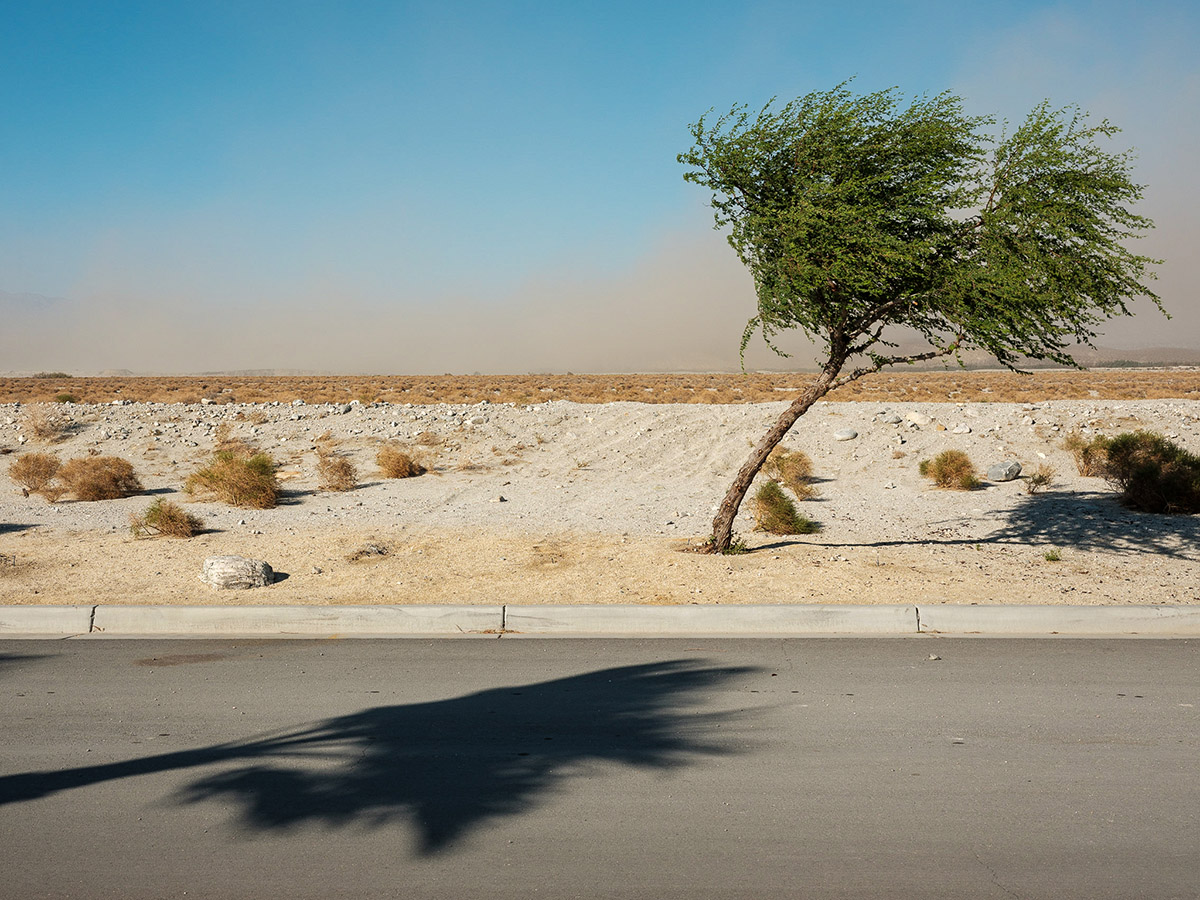 Dineke Versluis, Wandering, not lost