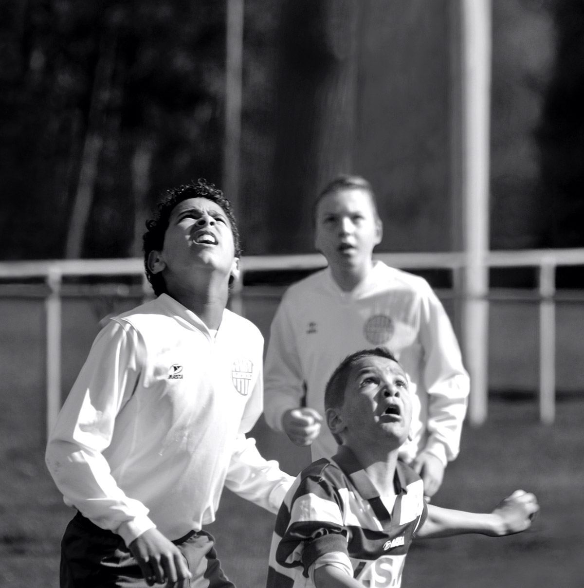 Photo Caffee Eddy Meijs