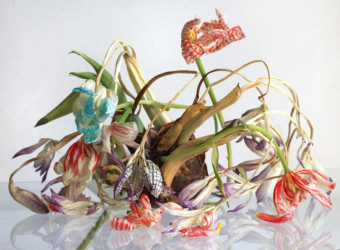 Elspeth Diederix, Colchicum grid still life, 2011