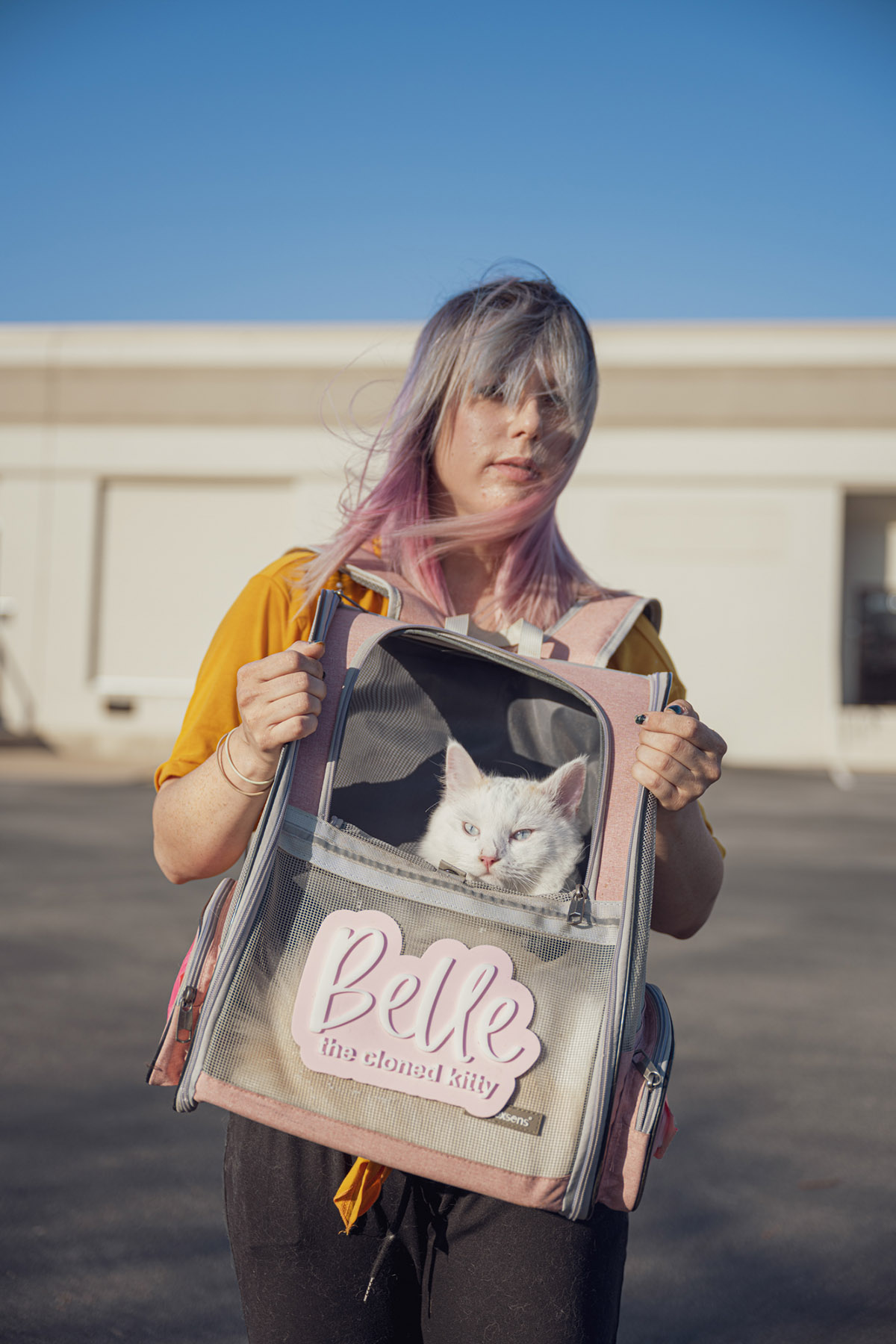 Maartje van Ringen, Kelly cloned cat belle