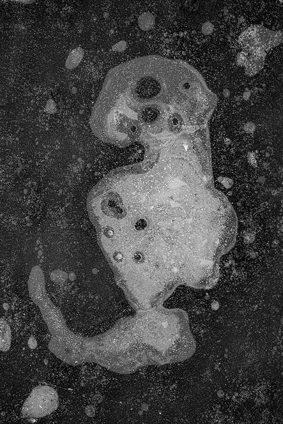 Tineke van der Pouw Kraan, Methane produced by  soil bacteria