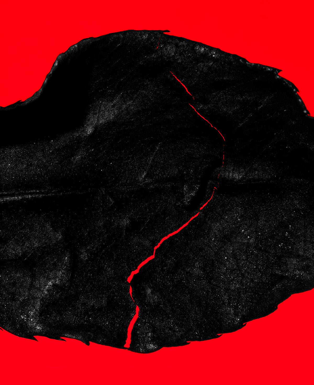 Martin Sweers, Error in Truth
