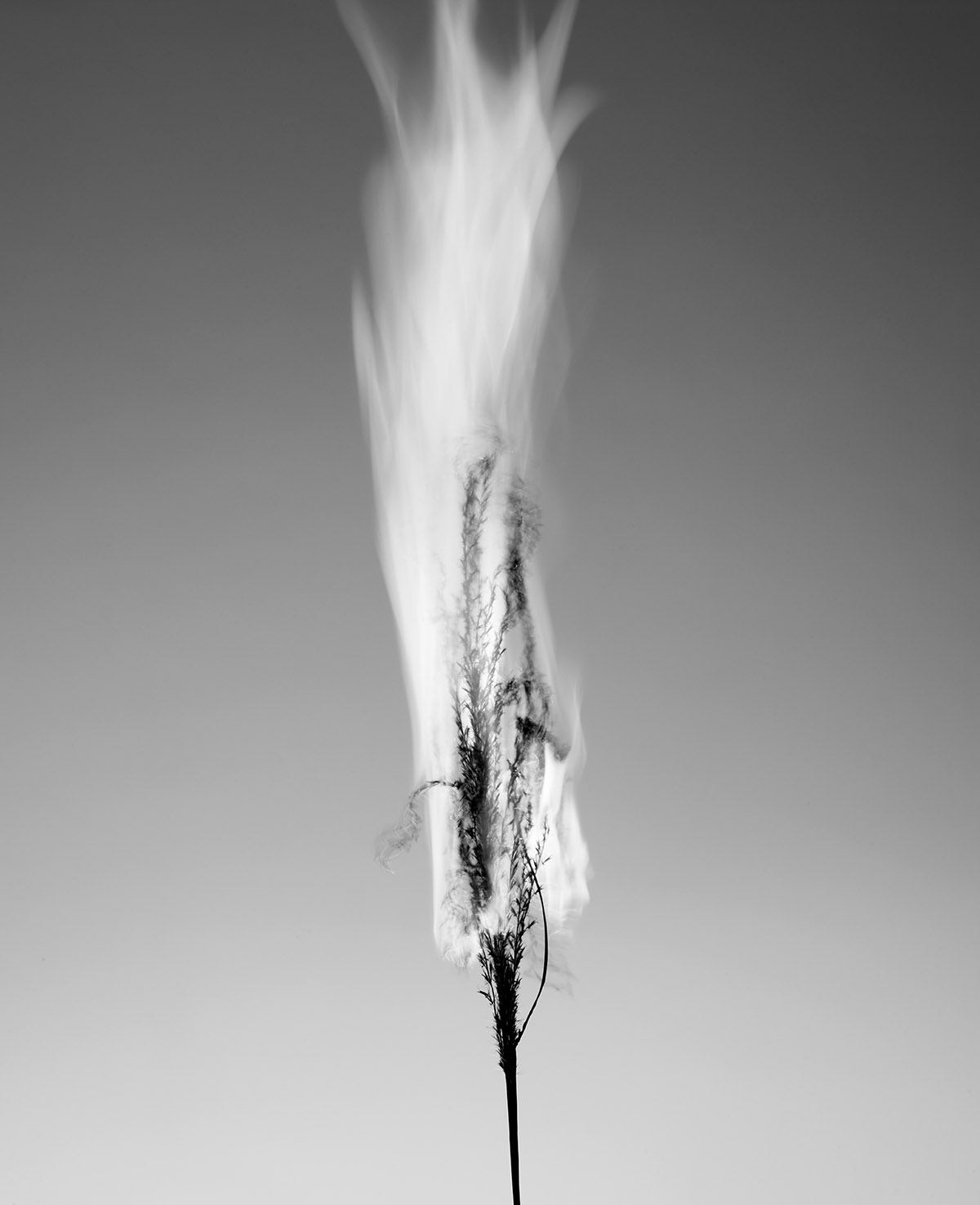 Martin Sweers, Error in Truth