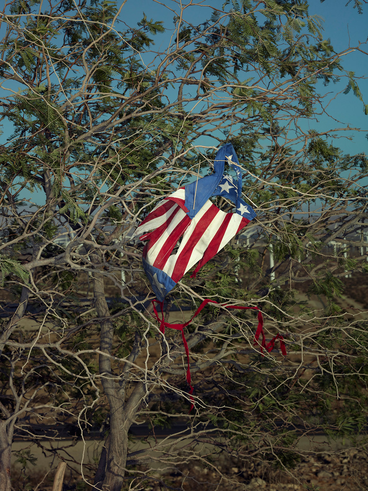 Erwin Olaf, Palm Springs, The Kite, Still Life, 2018, video still, Estate Erwin Olaf, courtesy Galerie Ron Mandos Amsterdam