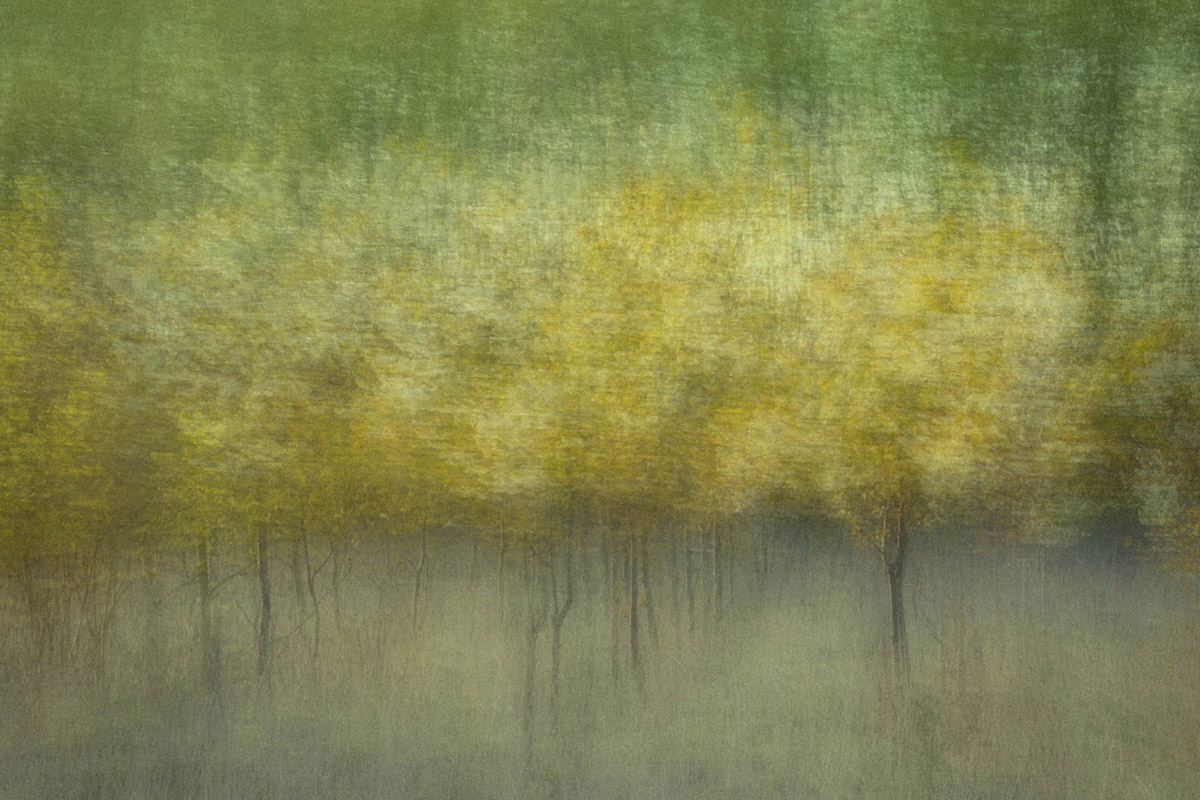 Verstild, Marjan