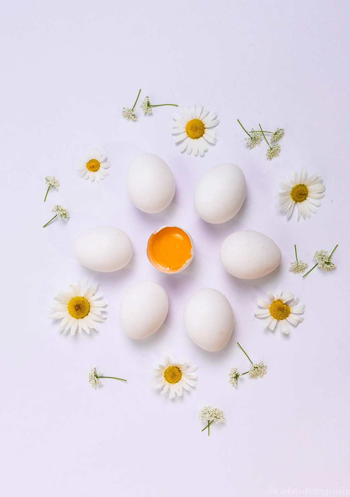 Egg illusion, Anja