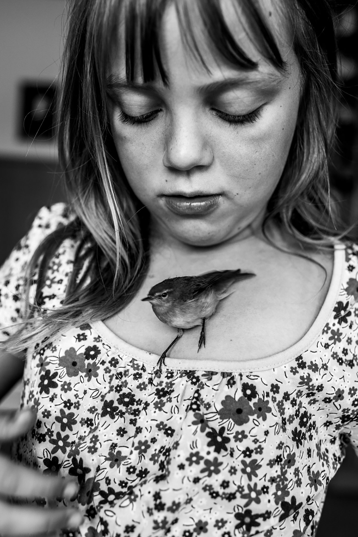 Carla Kogelman, Ich bin waldviertel