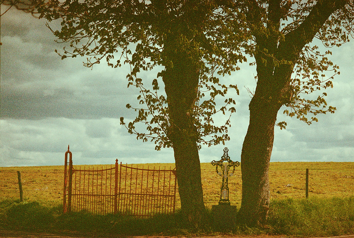 Floor Martens, Hekje Bomen kruis