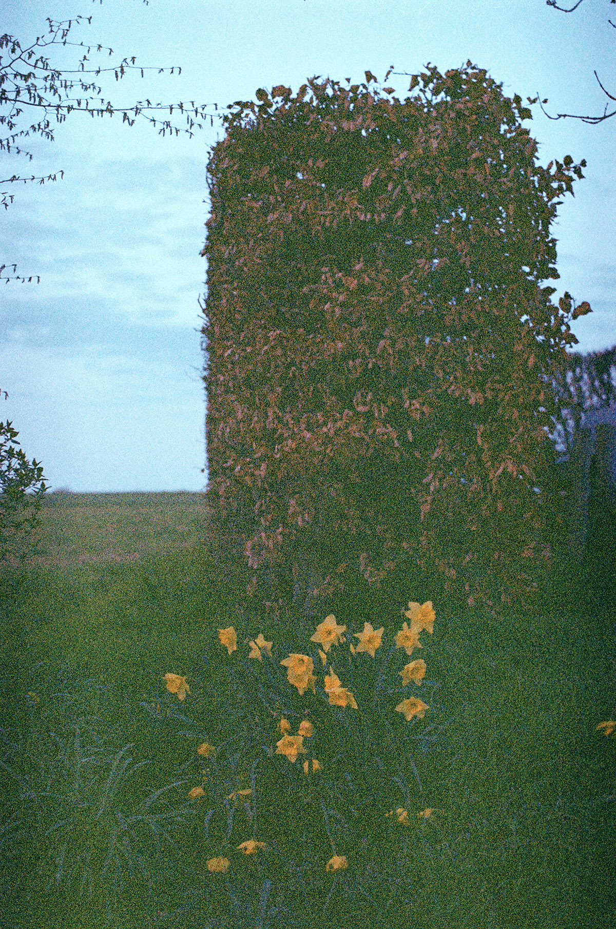 Floor Martens, Narcissen II