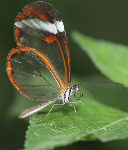 Fotogroep Klick heeft in 2015 haar eerste lustrum gevierd.