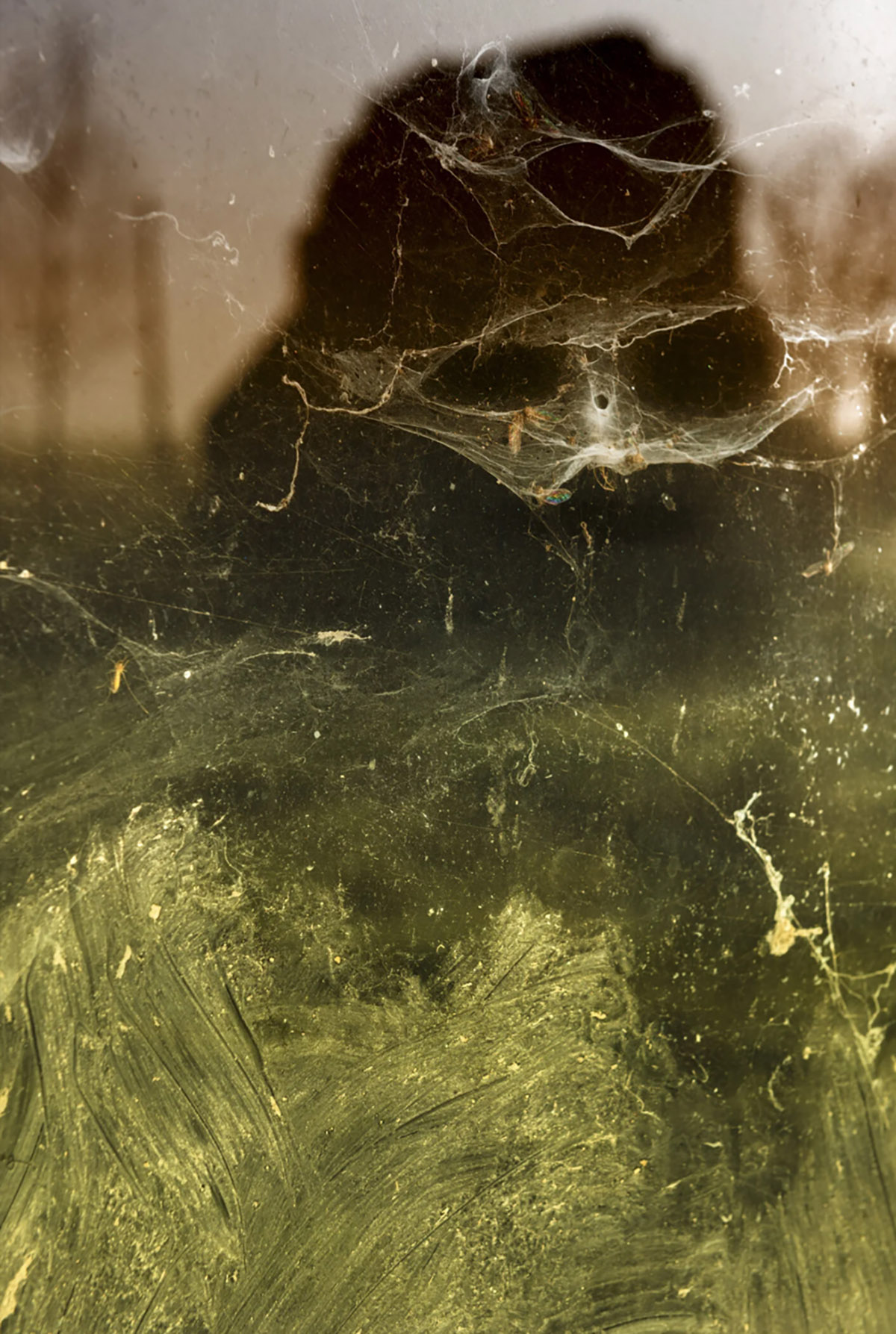 Eddy Verloes, The ghost