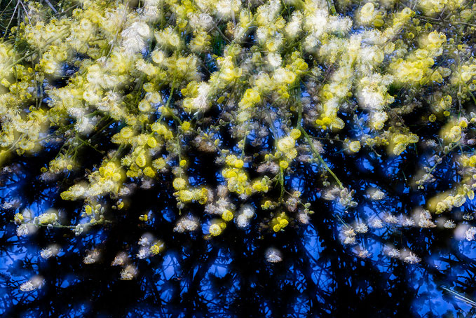 Andrew George, Frozen in all colours