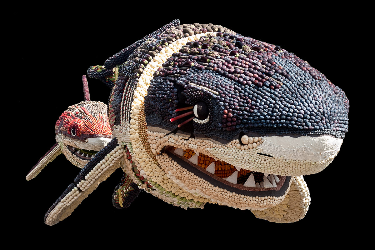 Ren&eacute; Weijers, Fruitcorso