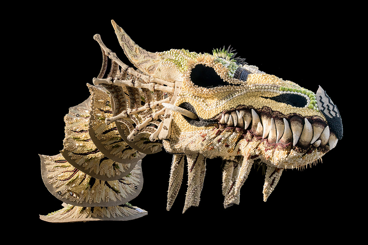 Ren&eacute; Weijers, Fruitcorso