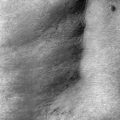 Landscapes - The shell of Man