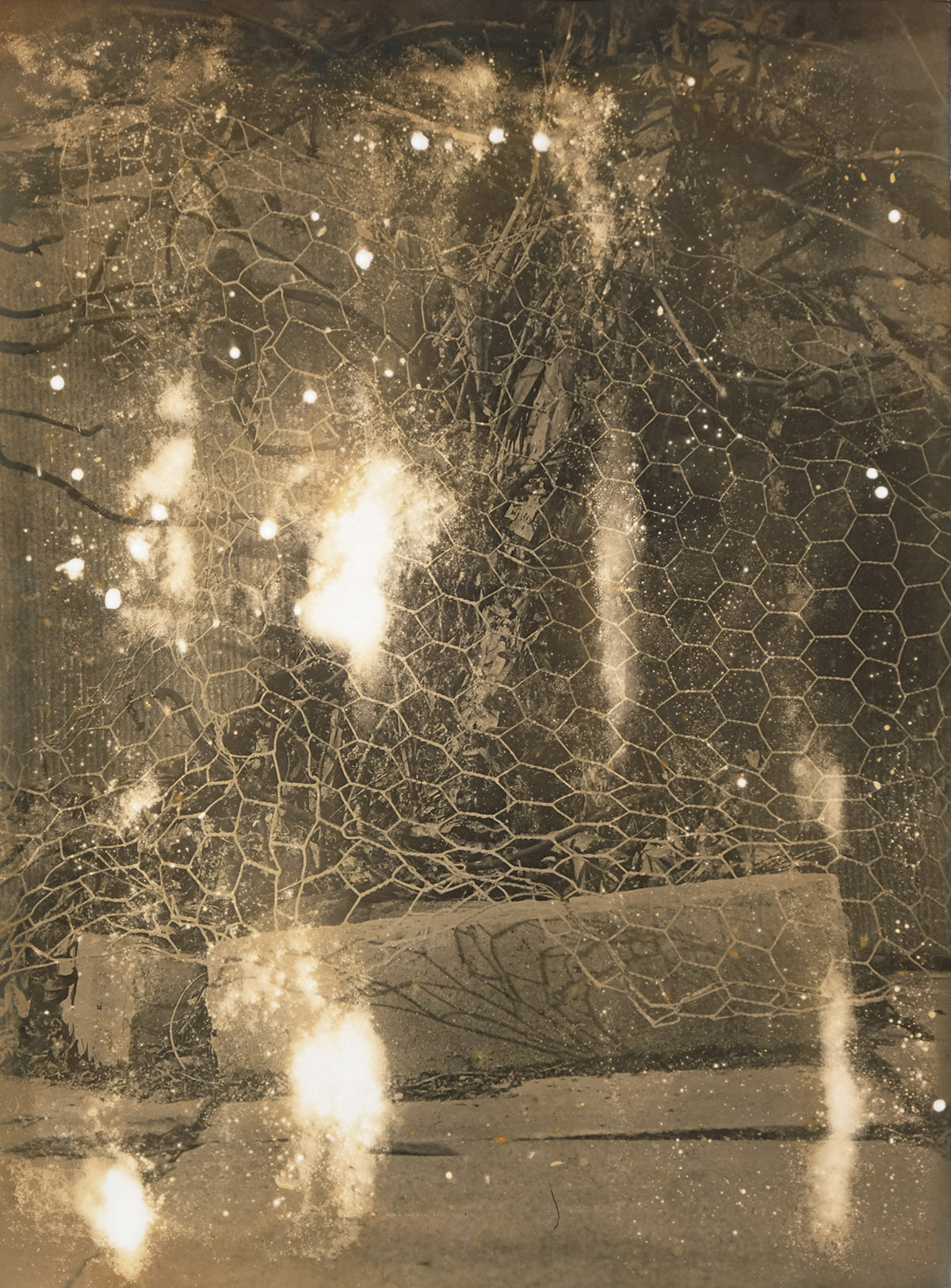 Nicolas Andry, From the series Ville-Nature