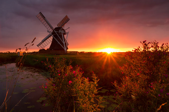 Windmolen De Korenbloem